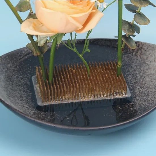 Perzikkleurige roos en groen blad vastgezet in een metalen kenzan